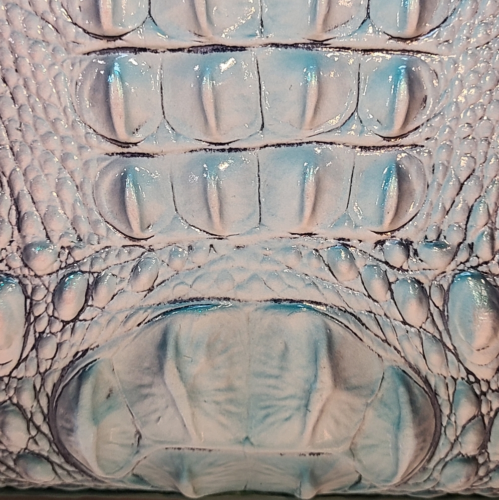 NWT Brahmin Small Caroline Spearmint Ombre Melbourne - Picture 5 of 14